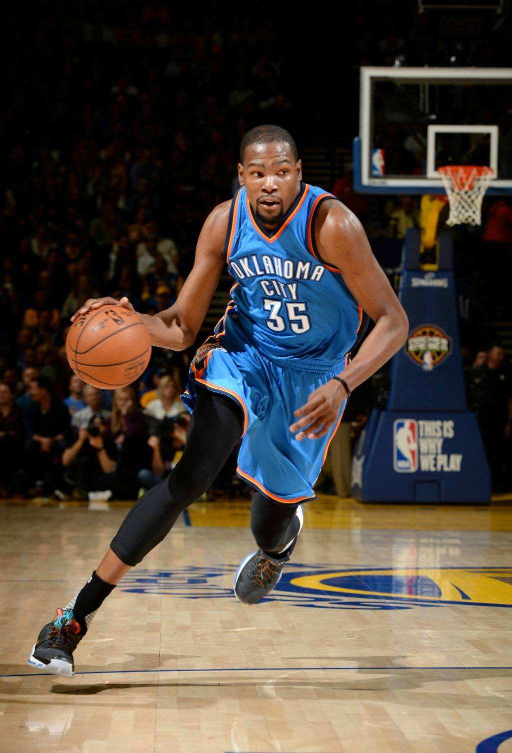 芝在最新世 芝在最新世